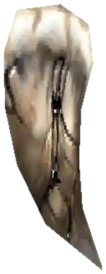 Mu
