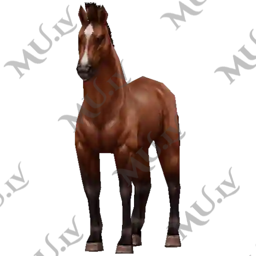 New Year Brown Horse